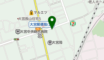 ブルードルフィンズ大宮校の地図画像