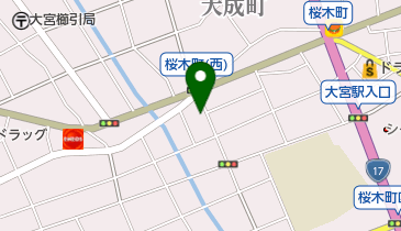心身統一合氣道真心館大宮道場の地図画像