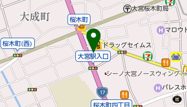 大栄不動産株式会社大宮支店の地図画像