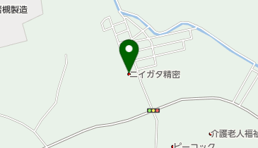 株式会社ニイガタ精密の地図画像