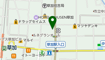 富国生命保険相互会社草加営業所の地図画像