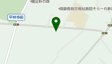 岸ぶどう園の地図画像