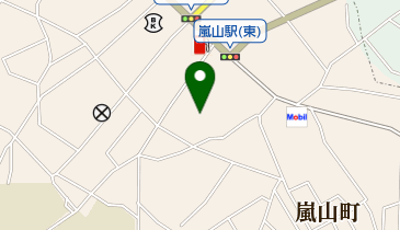 有限会社根岸商店の地図画像