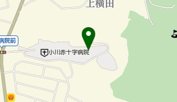 日赤小川ひなた荘特別養護老人ホームの地図画像