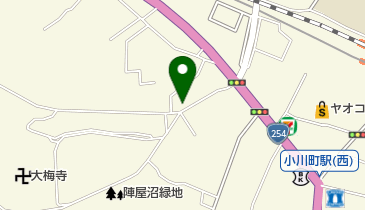 オオツカデンキの地図画像