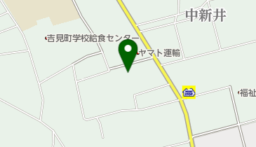 ヴィタリス製薬株式会社の地図画像
