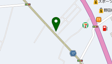 ないとう犬猫病院の地図画像