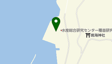 千葉県出先機関 農林水産部 水産総合研究センター 種苗生産研究所 勝浦の地図画像