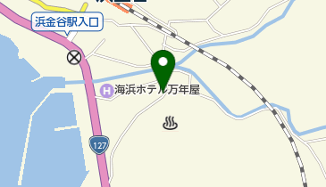 クリーニング三峯 金谷店の地図画像