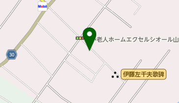 有限会社ソーワロジックの地図画像