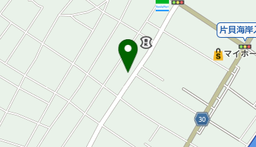 株式会社片貝薬局 九十九里店の地図画像