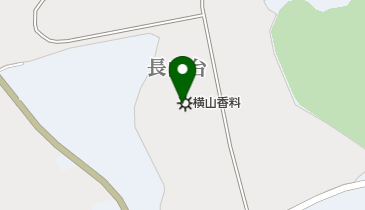 横山香料株式会社成田工場の地図画像