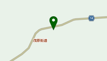 株式会社大阪大松運輸の地図画像