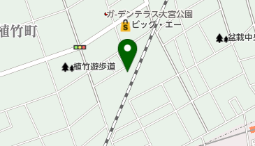 桃山の地図画像