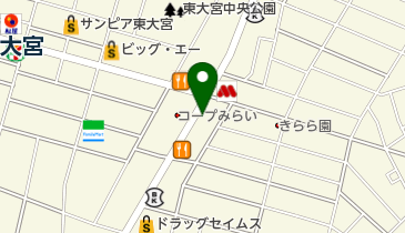 埼玉県さいたま市見沼区東大宮の癒し マッサージ 2ページ目 一覧 Navitime