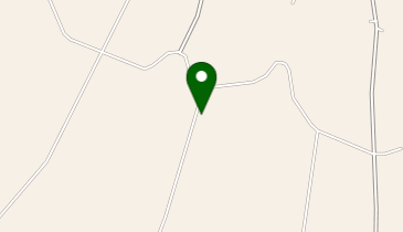 森の時の地図画像