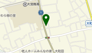 キッズ&ベビー保育園大和田園の地図画像