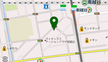新越谷カイロプラクティック院の地図画像