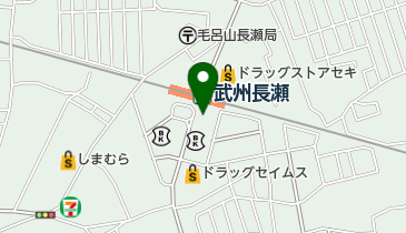 代々木進学ゼミナール武州長瀬校の地図画像