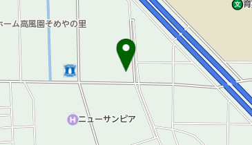 いずみ薬局高崎店の地図画像