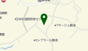 ポイントバケーション勝浦の地図画像