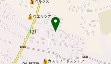 有限会社エムズプランニングの地図画像