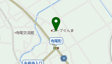 コープぐんま コープ寺尾店の地図画像