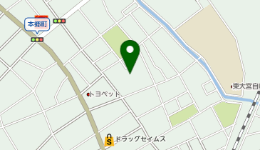 蓮見ペインクリニック医院の地図画像