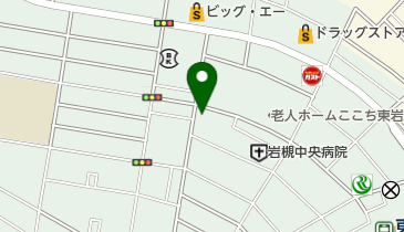 東いわつき動物病院の地図画像