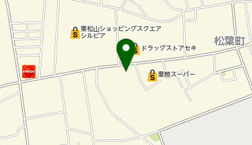 フラワーショップSARAの地図画像