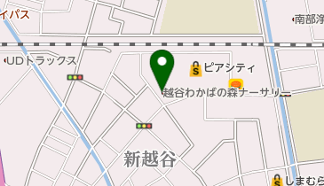 子育て支援センター森のひろば 越谷市 幼稚園 保育園 343 0857 の地図 アクセス 地点情報 Navitime