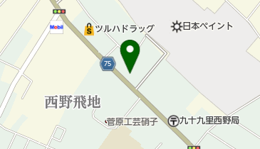 アフラックサービスショップ九十九里大沼店の地図画像