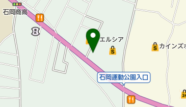 石井快生堂の地図画像