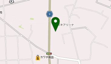 アルーアサルト佐野店の地図画像