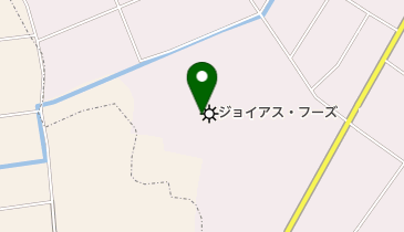 株式会社ジョイアス・フーズ児玉工場の地図画像