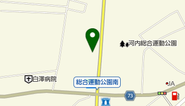 株式会社Autoハニービーカスタム白沢の地図画像