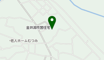 じゃんけんぽん金井淵の地図画像