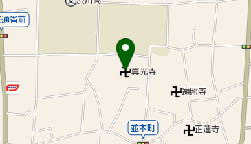 真光寺の地図画像