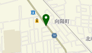 ペットショップオオカワの地図画像