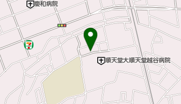 レモン薬局せんげん台店の地図画像