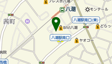 明治安田生命八潮中央営業所の地図画像