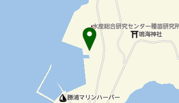 株式会社佐久間 虫浦集配所の地図画像