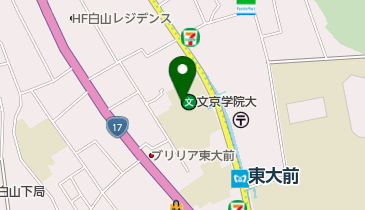 文京学院大学臨床心理相談センターの地図画像