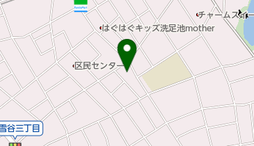 つばさ動物病院の地図画像