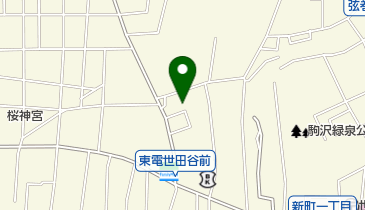 東京新電機株式会社の地図画像