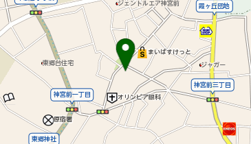 SINAPの地図画像