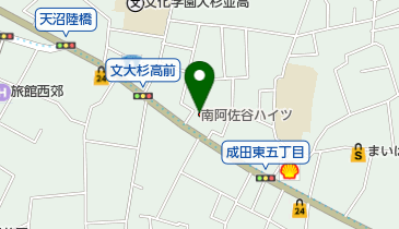 東京眼光学研究所の地図画像