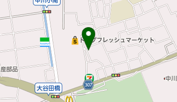 サロンド、ヒデの地図画像