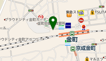 葛飾区 金町地区センターの地図画像