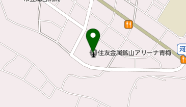 青梅市 総合体育館の地図画像
